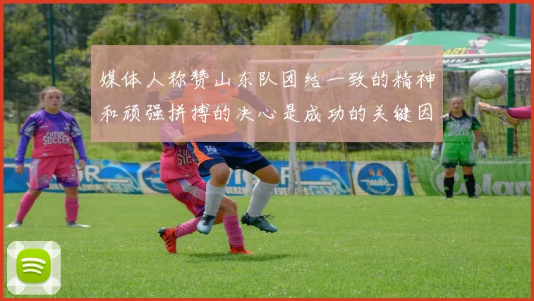 媒体人称赞山东队团结一致的精神和顽强拼搏的决心是成功的关键因素
