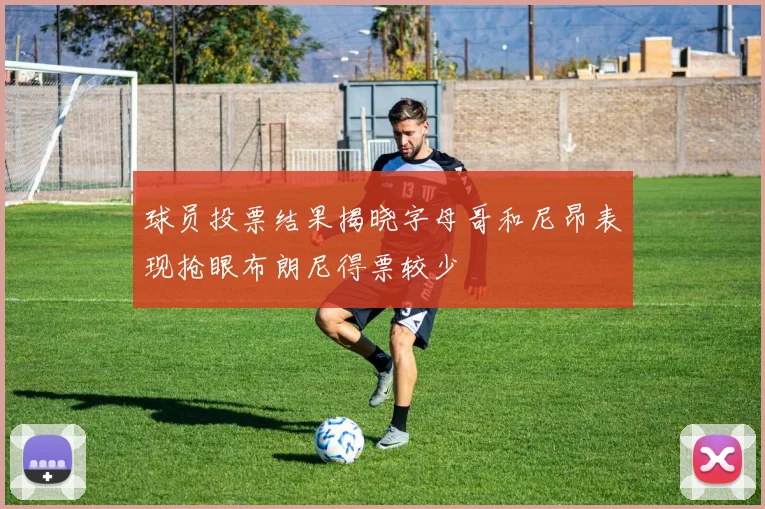 球员投票结果揭晓字母哥和尼昂表现抢眼布朗尼得票较少
